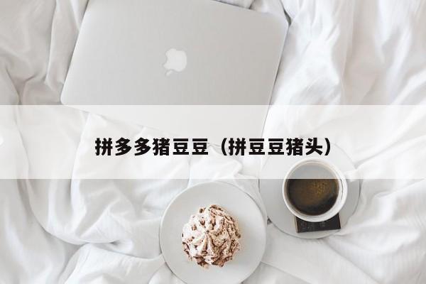 拼多多猪豆豆（拼豆豆猪头）-第1张图片-拼多多助力