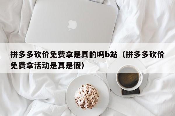 拼多多砍价免费拿是真的吗b站（拼多多砍价免费拿活动是真是假）-第1张图片-拼多多助力