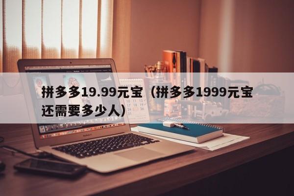 拼多多19.99元宝（拼多多1999元宝还需要多少人）-第1张图片-拼多多助力