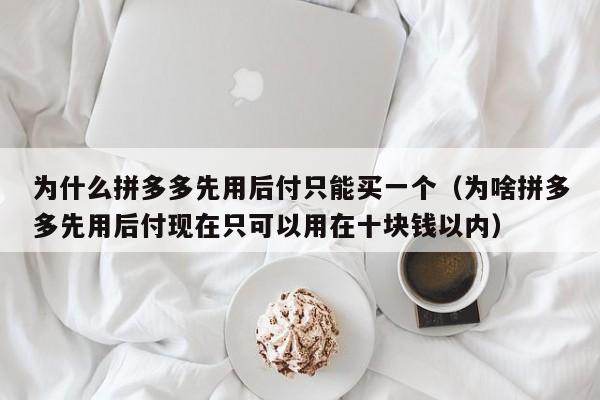 为什么拼多多先用后付只能买一个（为啥拼多多先用后付现在只可以用在十块钱以内）-第1张图片-拼多多助力