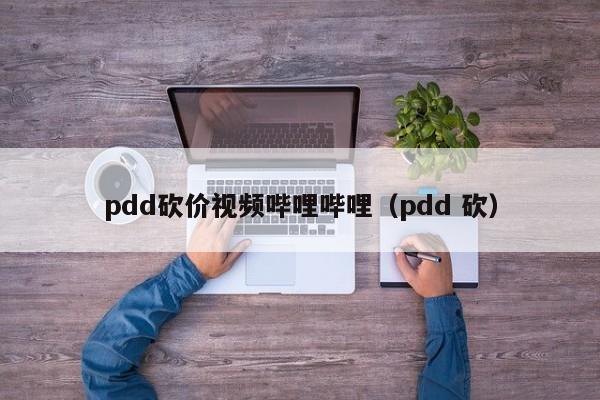 pdd砍价视频哔哩哔哩（pdd 砍）-第1张图片-拼多多助力