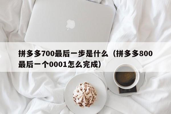 拼多多700最后一步是什么（拼多多800最后一个0001怎么完成）-第1张图片-拼多多助力