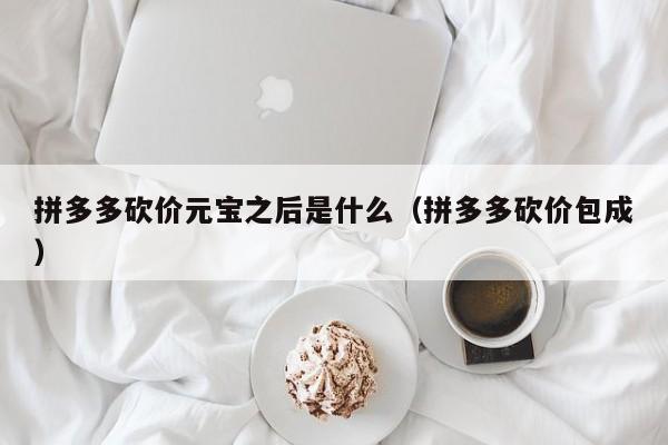 拼多多砍价元宝之后是什么（拼多多砍价包成）-第1张图片-拼多多助力