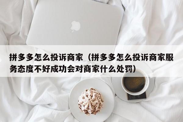 拼多多怎么投诉商家（拼多多怎么投诉商家服务态度不好成功会对商家什么处罚）-第1张图片-拼多多助力