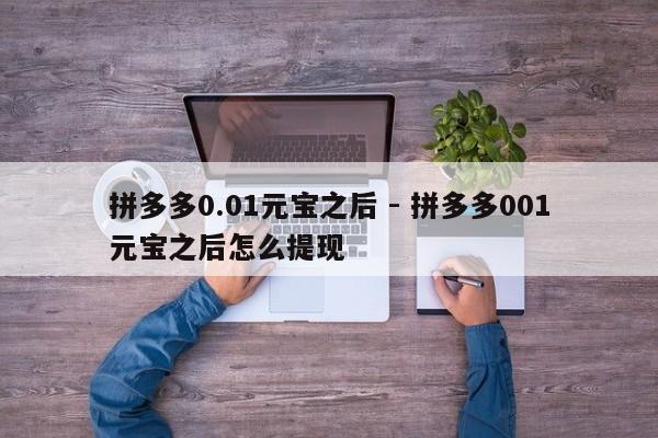 拼多多0.01元宝之后 - 拼多多001元宝之后怎么提现-第1张图片-拼多多助力