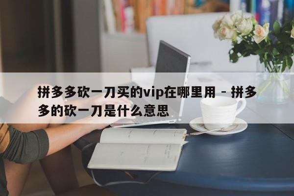 拼多多砍一刀买的vip在哪里用 - 拼多多的砍一刀是什么意思-第1张图片-拼多多助力