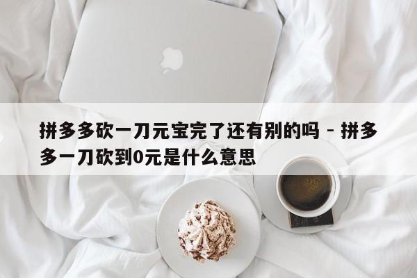 拼多多砍一刀元宝完了还有别的吗 - 拼多多一刀砍到0元是什么意思-第1张图片-拼多多助力