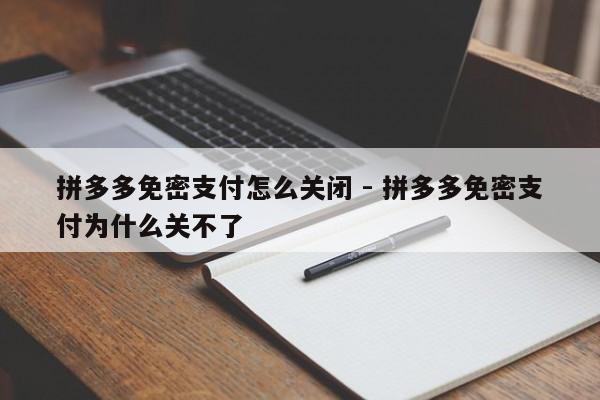 拼多多免密支付怎么关闭 - 拼多多免密支付为什么关不了-第1张图片-拼多多助力