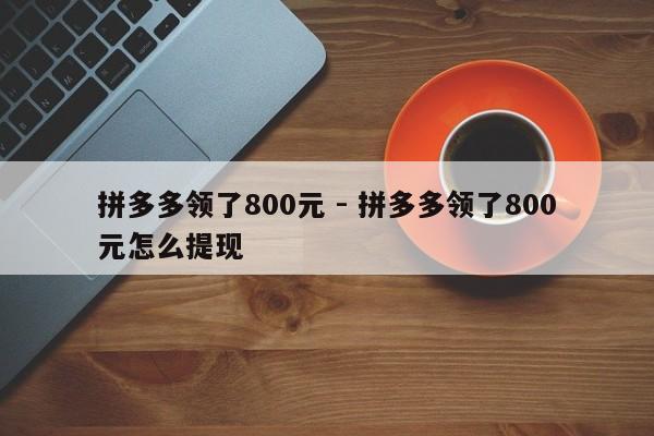 拼多多领了800元 - 拼多多领了800元怎么提现-第1张图片-拼多多助力