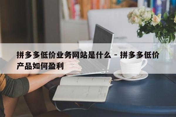 拼多多低价业务网站是什么 - 拼多多低价产品如何盈利-第1张图片-拼多多助力