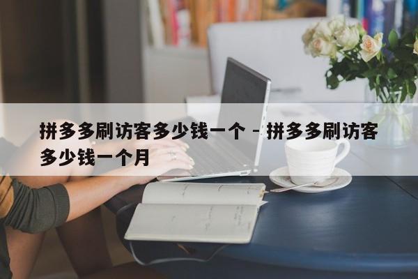 拼多多刷访客多少钱一个 - 拼多多刷访客多少钱一个月-第1张图片-拼多多助力