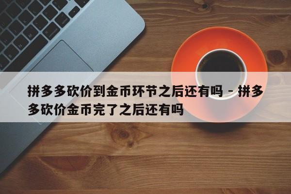 拼多多砍价到金币环节之后还有吗 - 拼多多砍价金币完了之后还有吗-第1张图片-拼多多助力