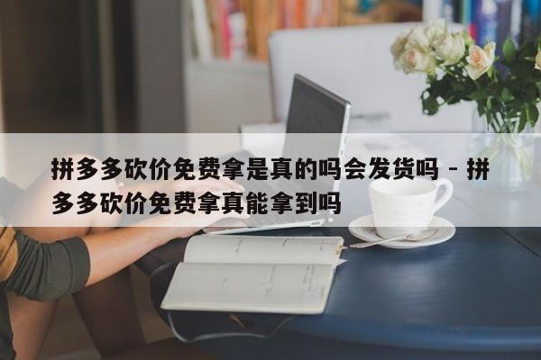 拼多多砍价免费拿是真的吗会发货吗 - 拼多多砍价免费拿真能拿到吗-第1张图片-拼多多助力