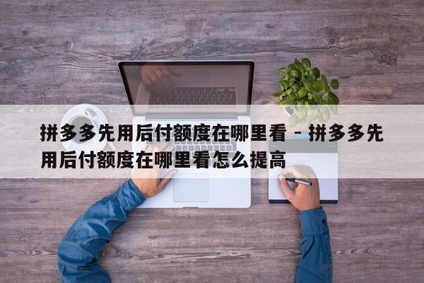 拼多多先用后付额度在哪里看 - 拼多多先用后付额度在哪里看怎么提高-第1张图片-拼多多助力