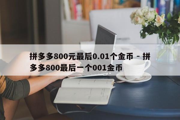 拼多多800元最后0.01个金币 - 拼多多800最后一个001金币-第1张图片-拼多多助力