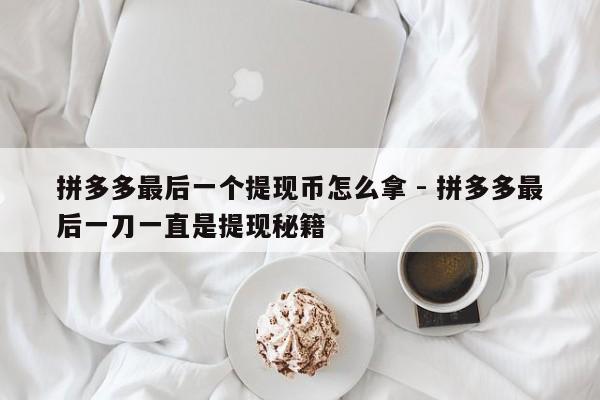 拼多多最后一个提现币怎么拿 - 拼多多最后一刀一直是提现秘籍-第1张图片-拼多多助力