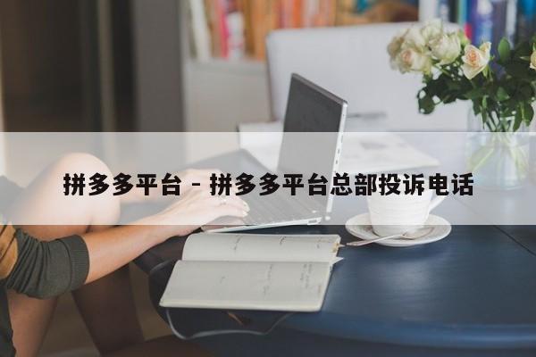 拼多多平台 - 拼多多平台总部投诉电话-第1张图片-拼多多助力