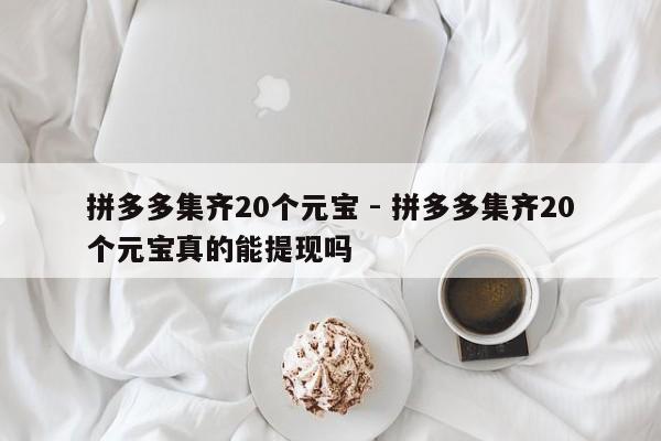 拼多多集齐20个元宝 - 拼多多集齐20个元宝真的能提现吗-第1张图片-拼多多助力