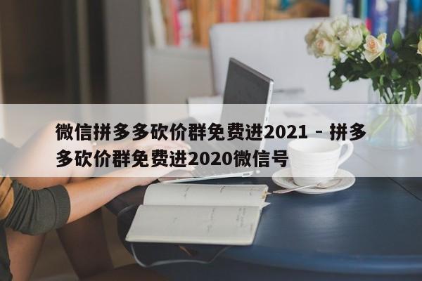 微信拼多多砍价群免费进2021 - 拼多多砍价群免费进2020微信号-第1张图片-拼多多助力