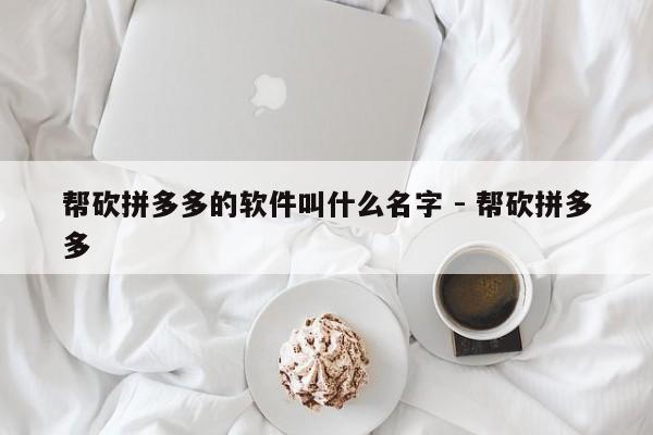 帮砍拼多多的软件叫什么名字 - 帮砍拼多多-第1张图片-拼多多助力