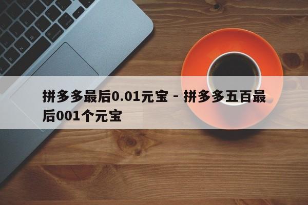 拼多多最后0.01元宝 - 拼多多五百最后001个元宝-第1张图片-拼多多助力