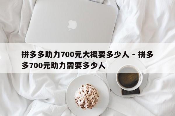 拼多多助力700元大概要多少人 - 拼多多700元助力需要多少人-第1张图片-拼多多助力
