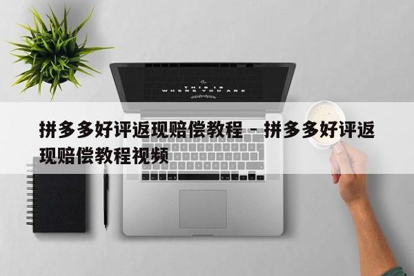 拼多多好评返现赔偿教程 - 拼多多好评返现赔偿教程视频-第1张图片-拼多多助力