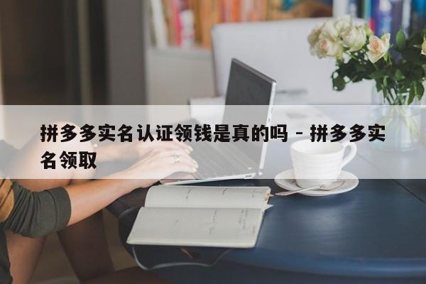 拼多多实名认证领钱是真的吗 - 拼多多实名领取-第1张图片-拼多多助力