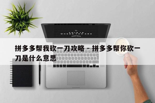 拼多多帮我砍一刀攻略 - 拼多多帮你砍一刀是什么意思-第1张图片-拼多多助力