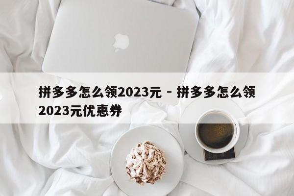 拼多多怎么领2023元 - 拼多多怎么领2023元优惠券-第1张图片-拼多多助力