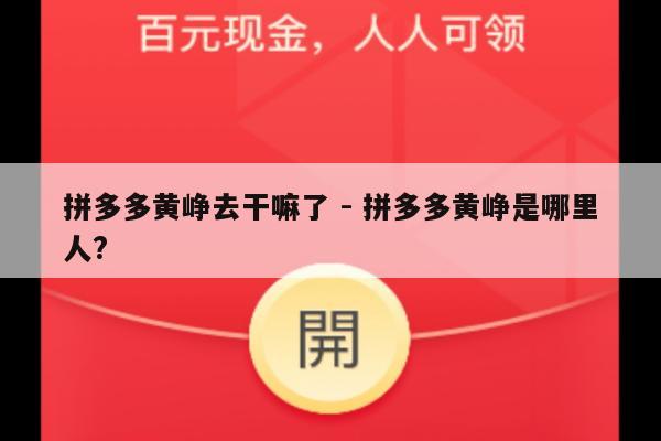 拼多多黄峥去干嘛了 - 拼多多黄峥是哪里人?-第1张图片-拼多多助力
