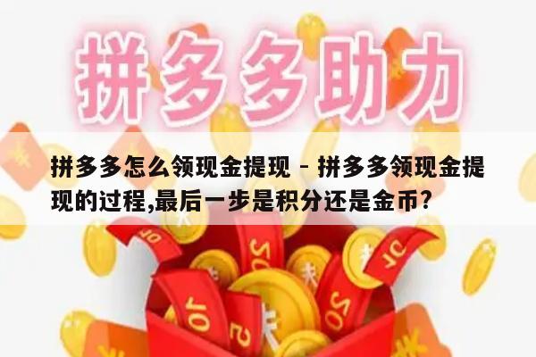 拼多多怎么领现金提现 - 拼多多领现金提现的过程,最后一步是积分还是金币?-第1张图片-拼多多助力