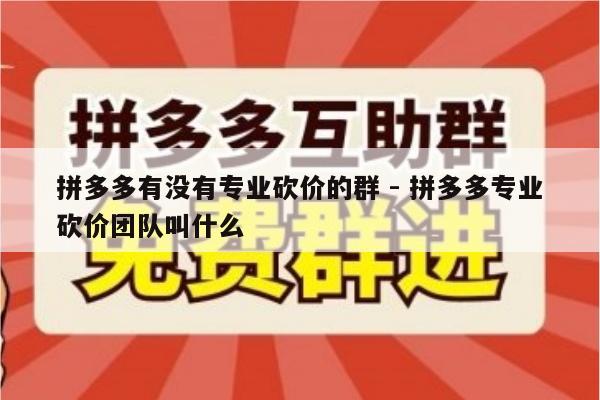 拼多多有没有专业砍价的群 - 拼多多专业砍价团队叫什么-第1张图片-拼多多助力
