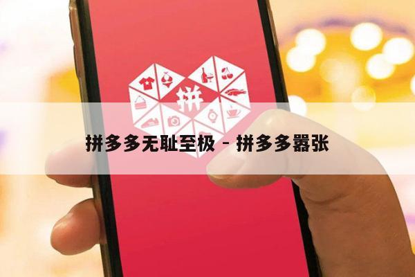 拼多多无耻至极 - 拼多多嚣张-第1张图片-拼多多助力
