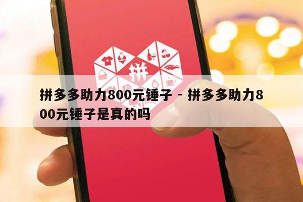 拼多多助力800元锤子 - 拼多多助力800元锤子是真的吗-第1张图片-拼多多助力