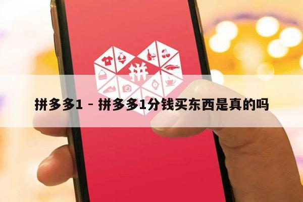 拼多多1 - 拼多多1分钱买东西是真的吗-第1张图片-拼多多助力